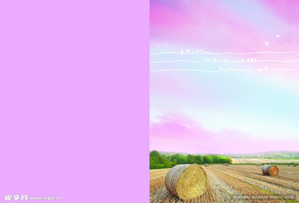 风景