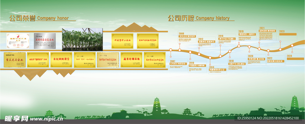公司发展历程