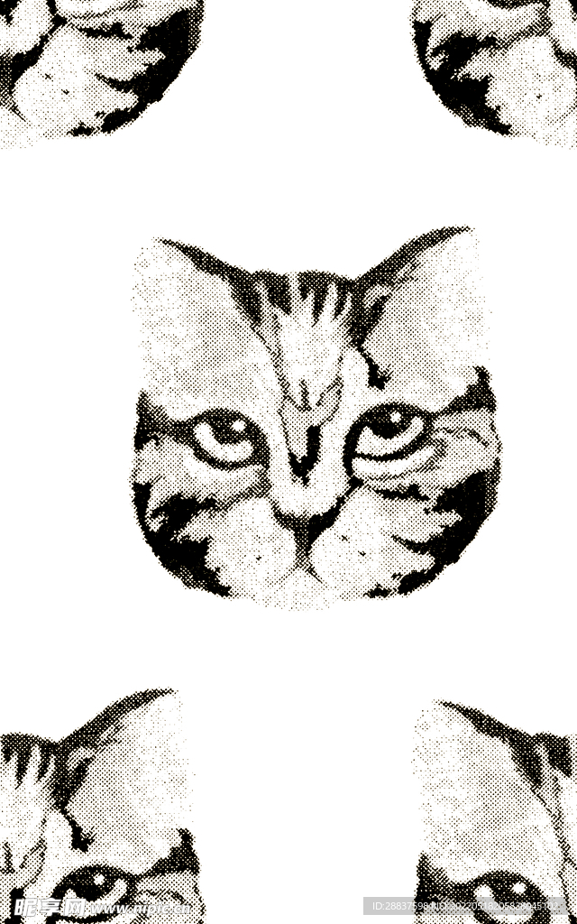 猫