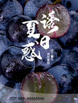 葡萄