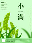绿色简易二十四节气小满海报