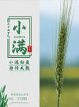 简约小满二十四节气商务海报