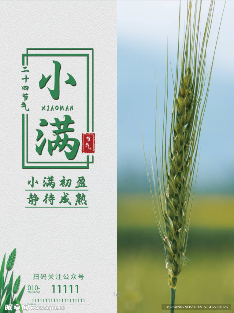 简约小满二十四节气商务海报