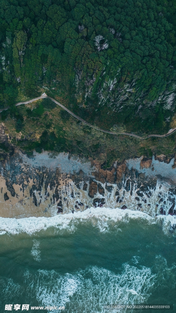 大海