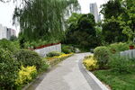 路