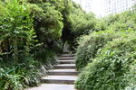 路