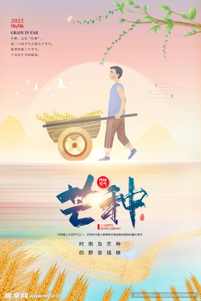 芒种海报