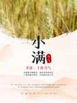 小满