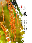 小满