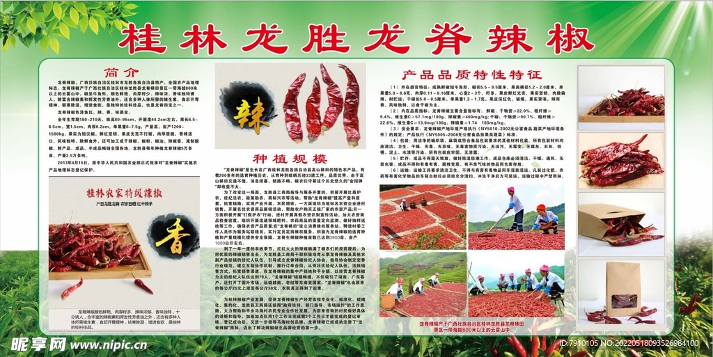 龙脊辣椒