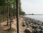 北龙湖海岸线