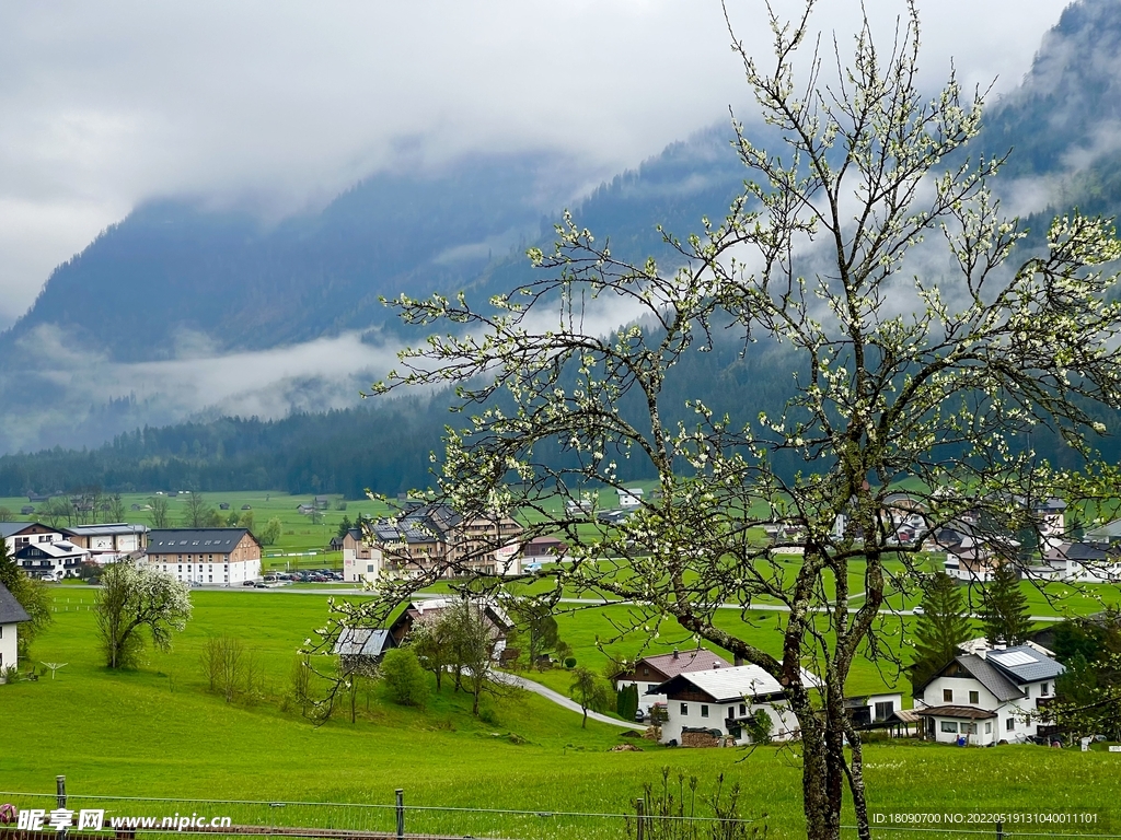 草坪草地山川小屋树木外国小镇