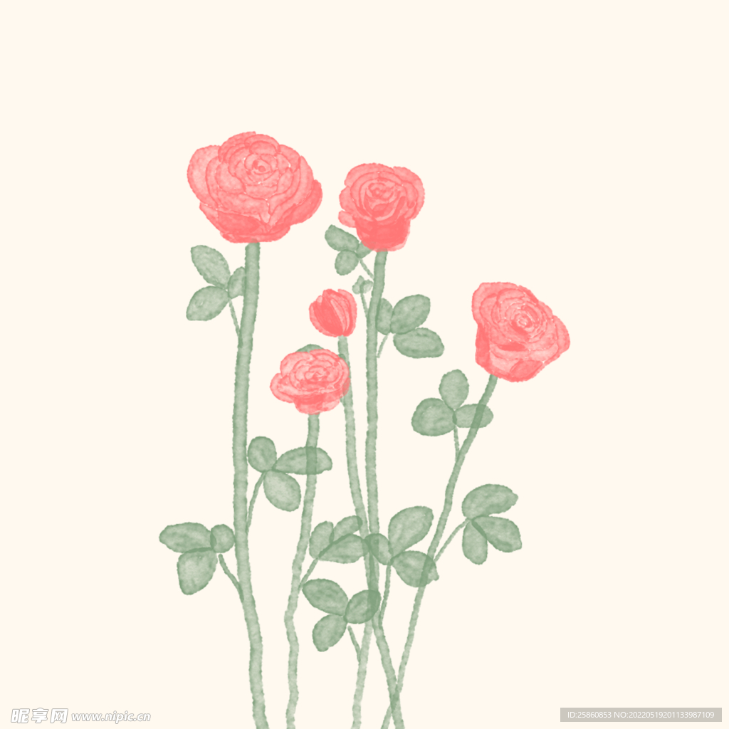 玫瑰花