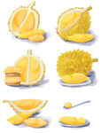 榴莲插画元素素材