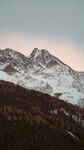 山