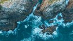 大海