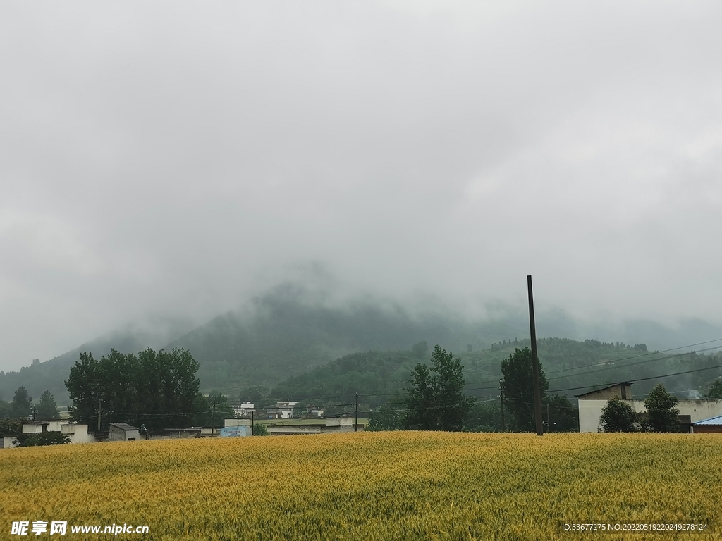 山景