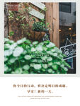 早安海报