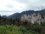 山顶