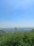 蓝天山树