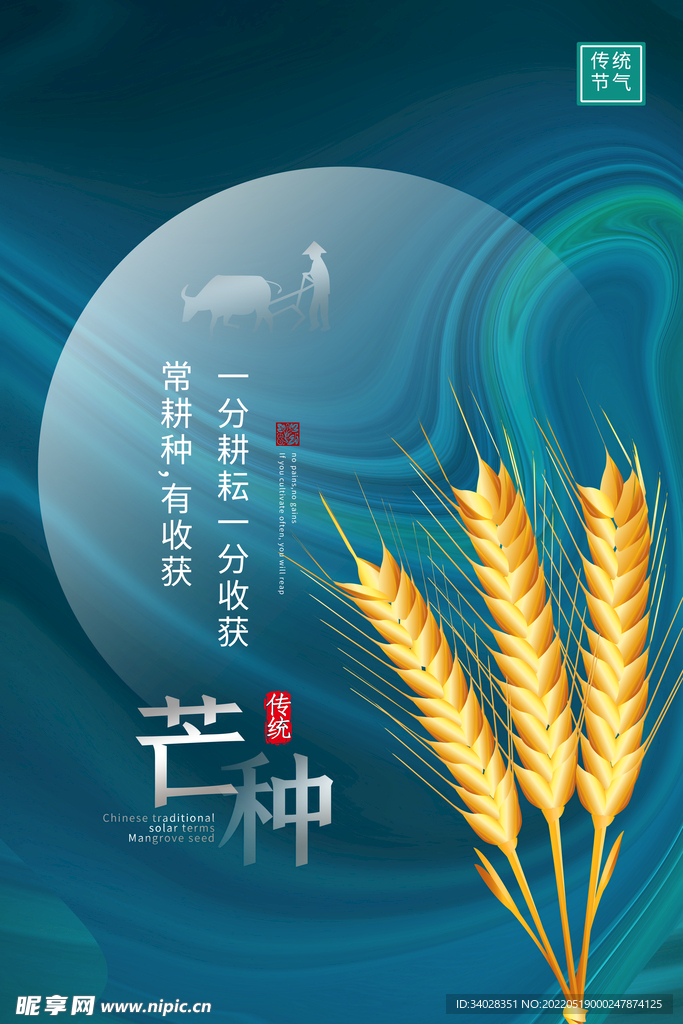 芒种海报