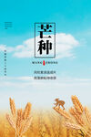 芒种海报