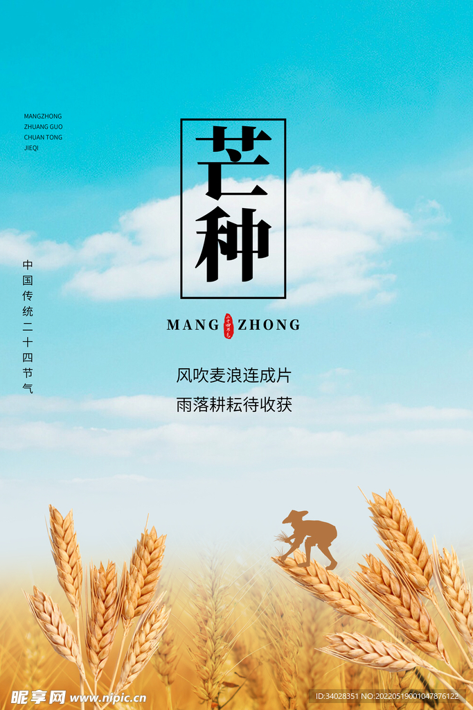 芒种海报