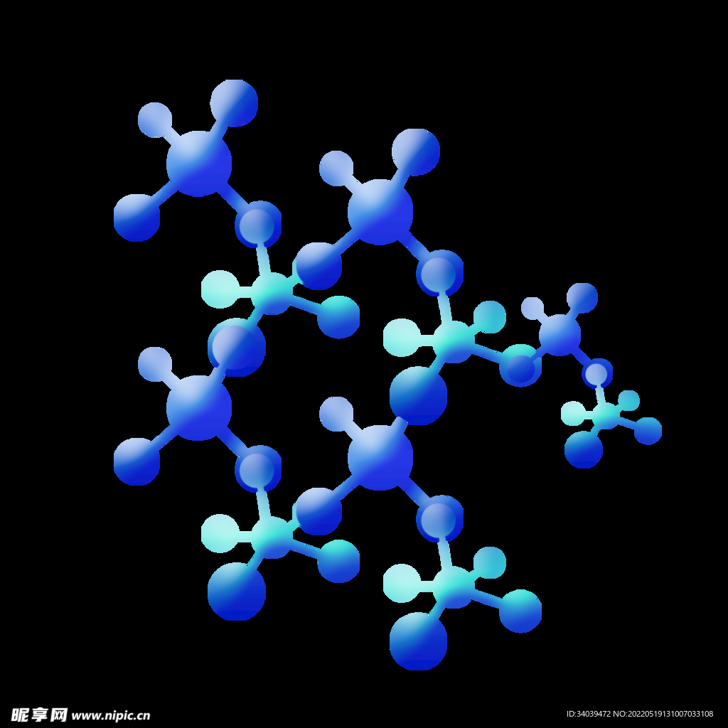 生物链状图图片