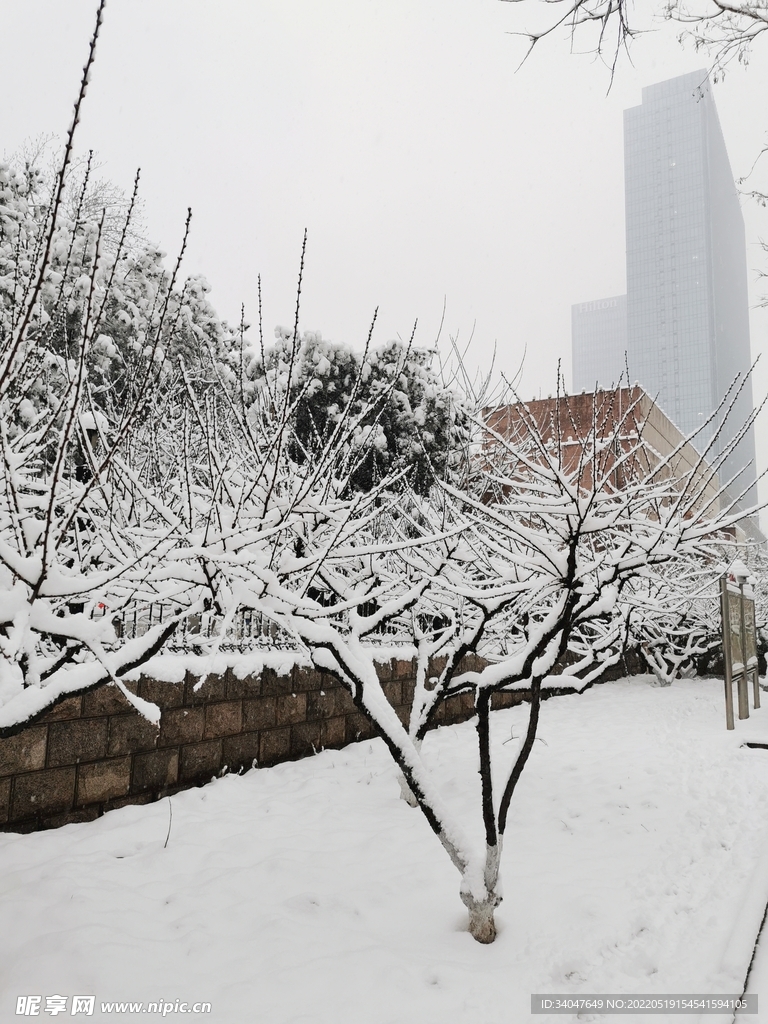 冬天的雪