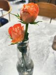 鲜花