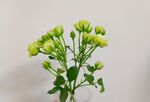 鲜花