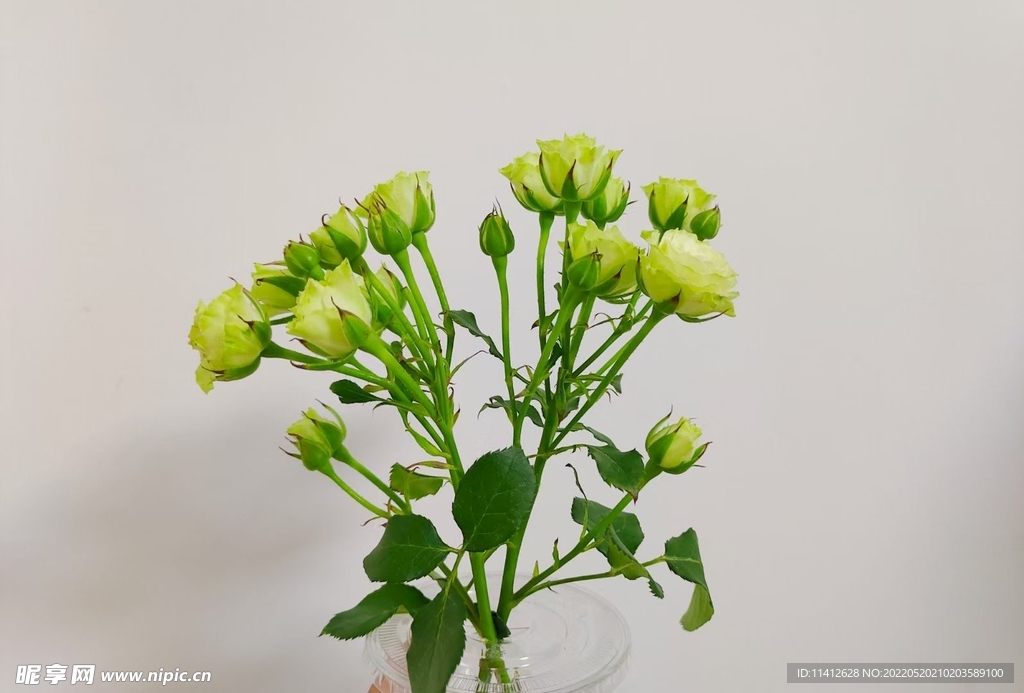 鲜花