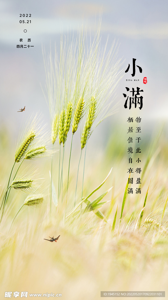 小满节气