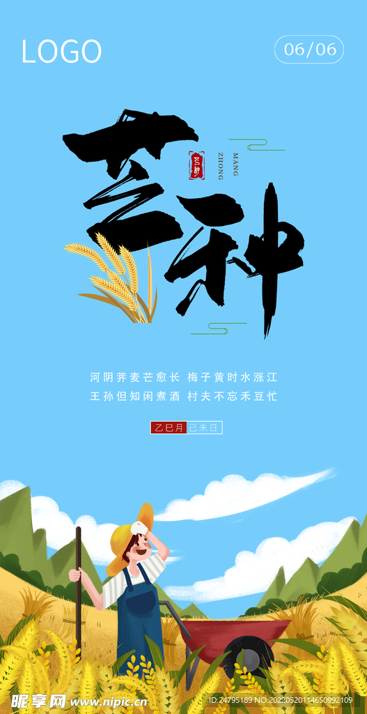 芒种