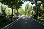 路