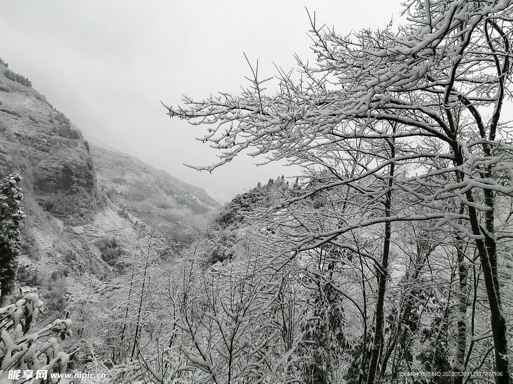 大雪纷纷