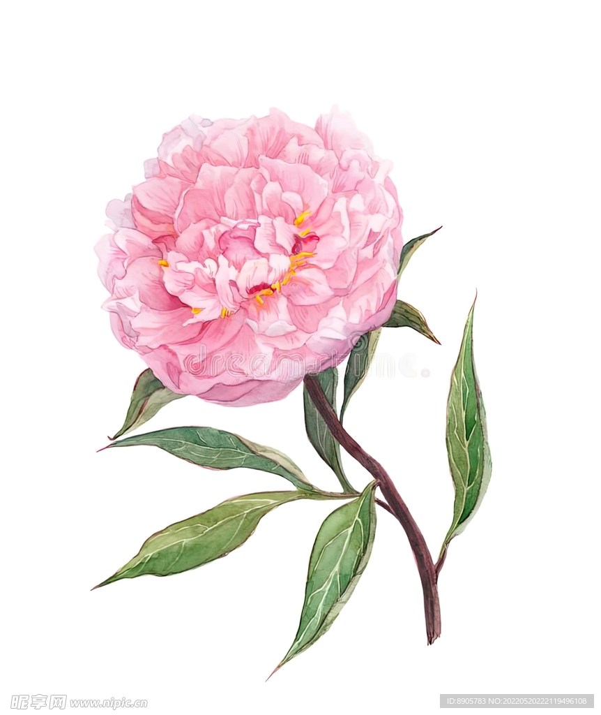 手绘花