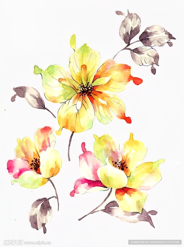 手绘花