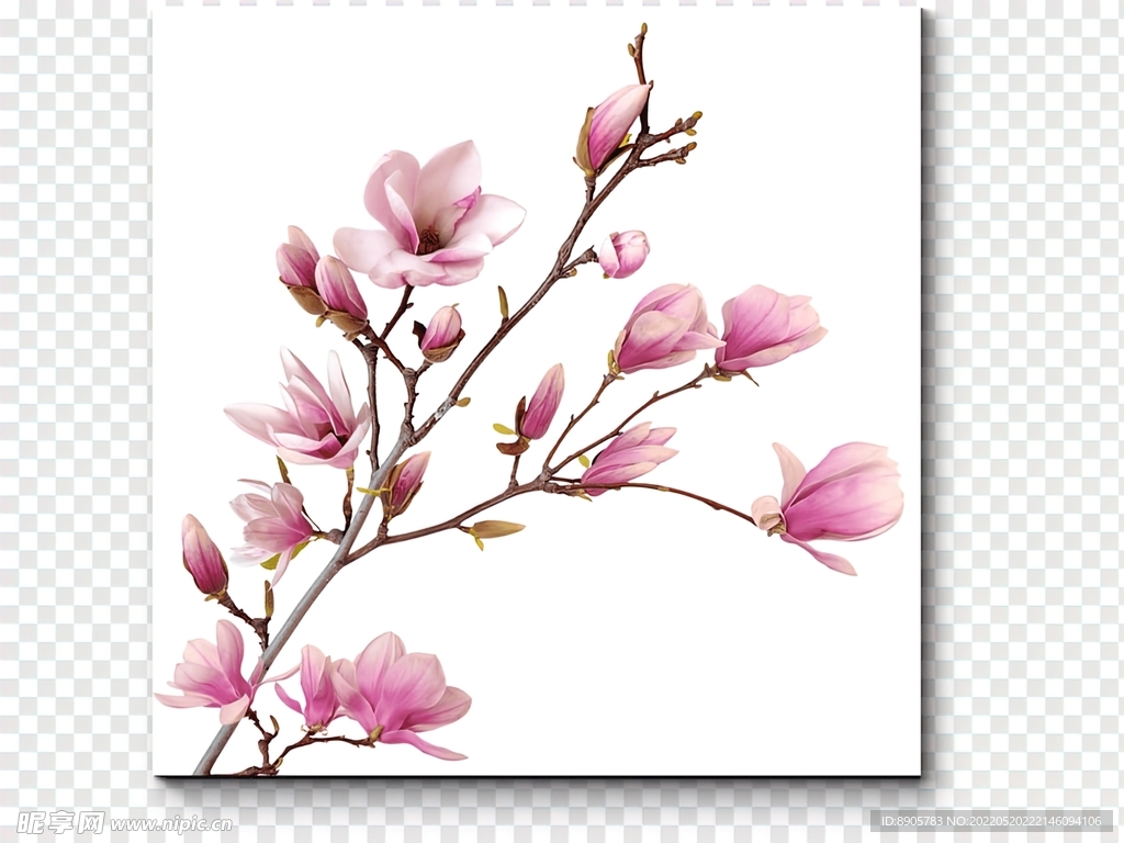 手绘花