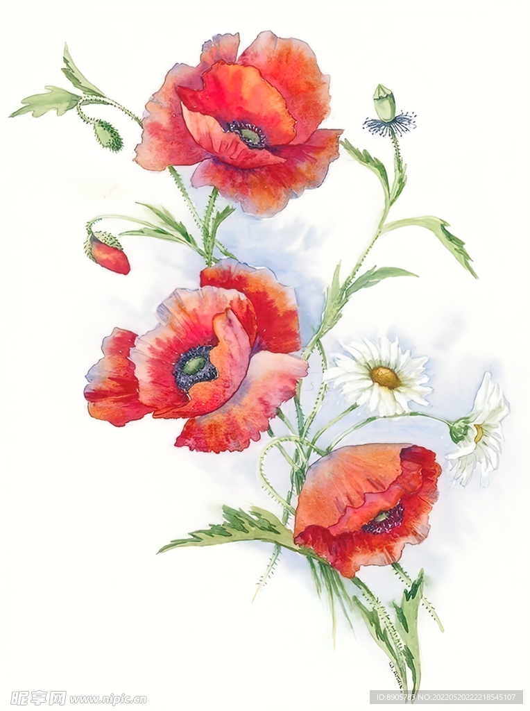 手绘花