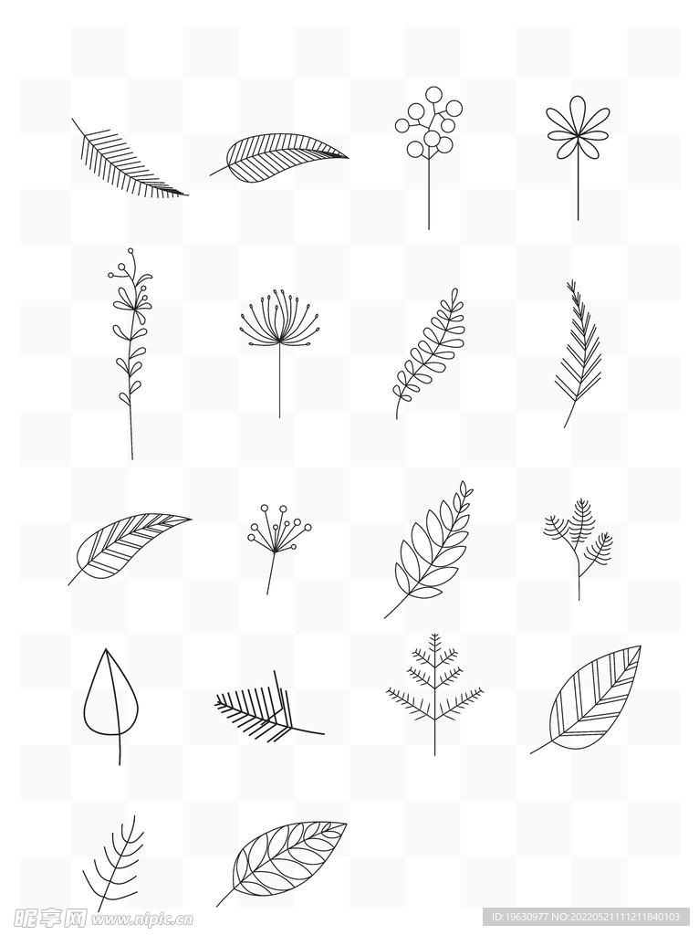 植物叶片