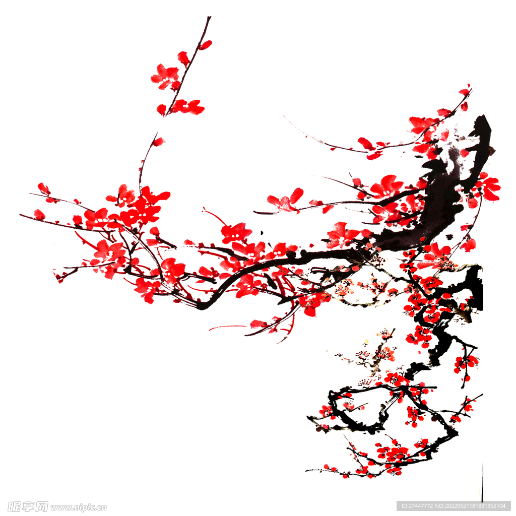 梅花素材