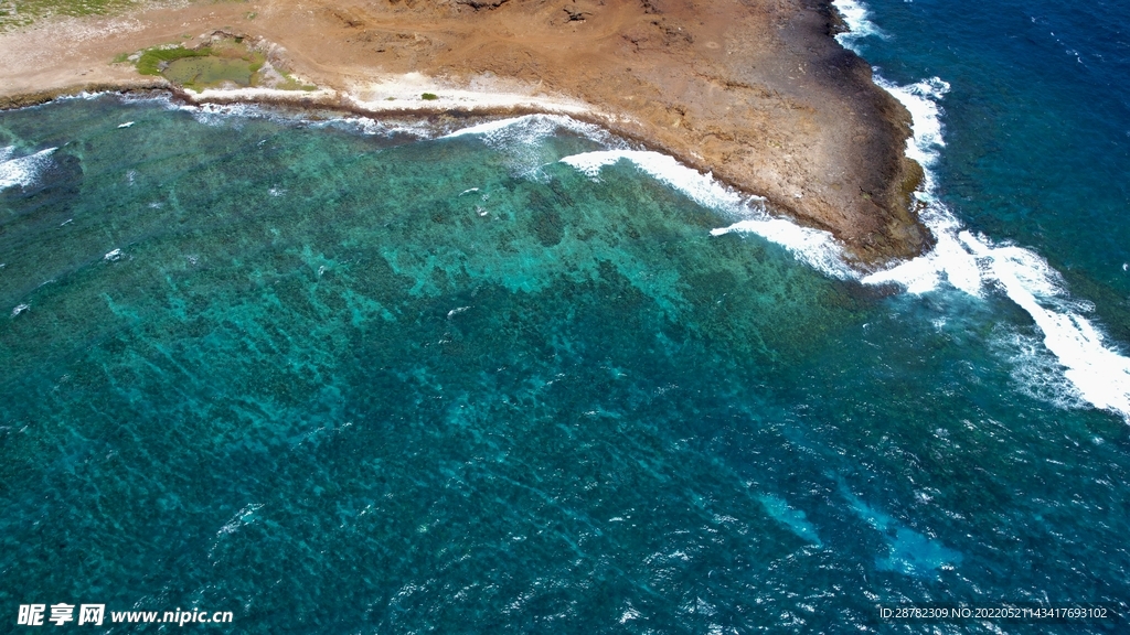 海