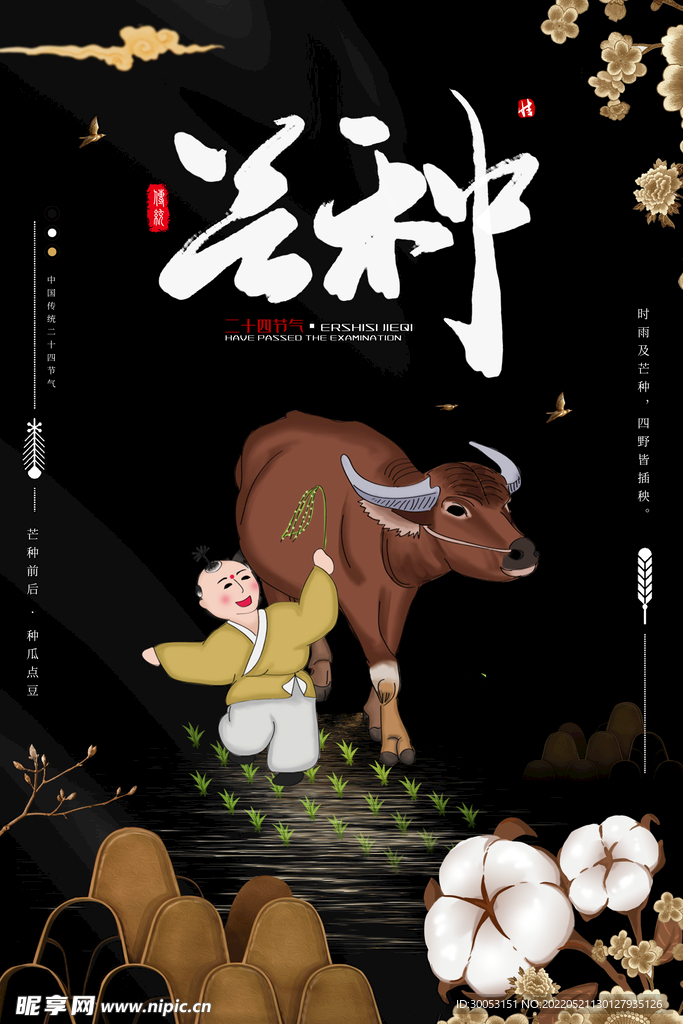 芒种海报