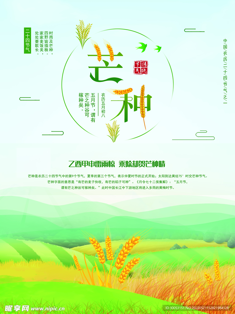 芒种海报