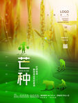 芒种海报