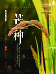 芒种海报