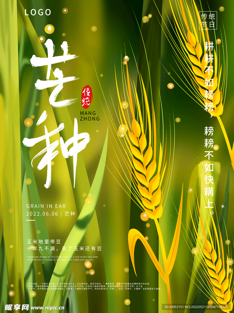 芒种海报