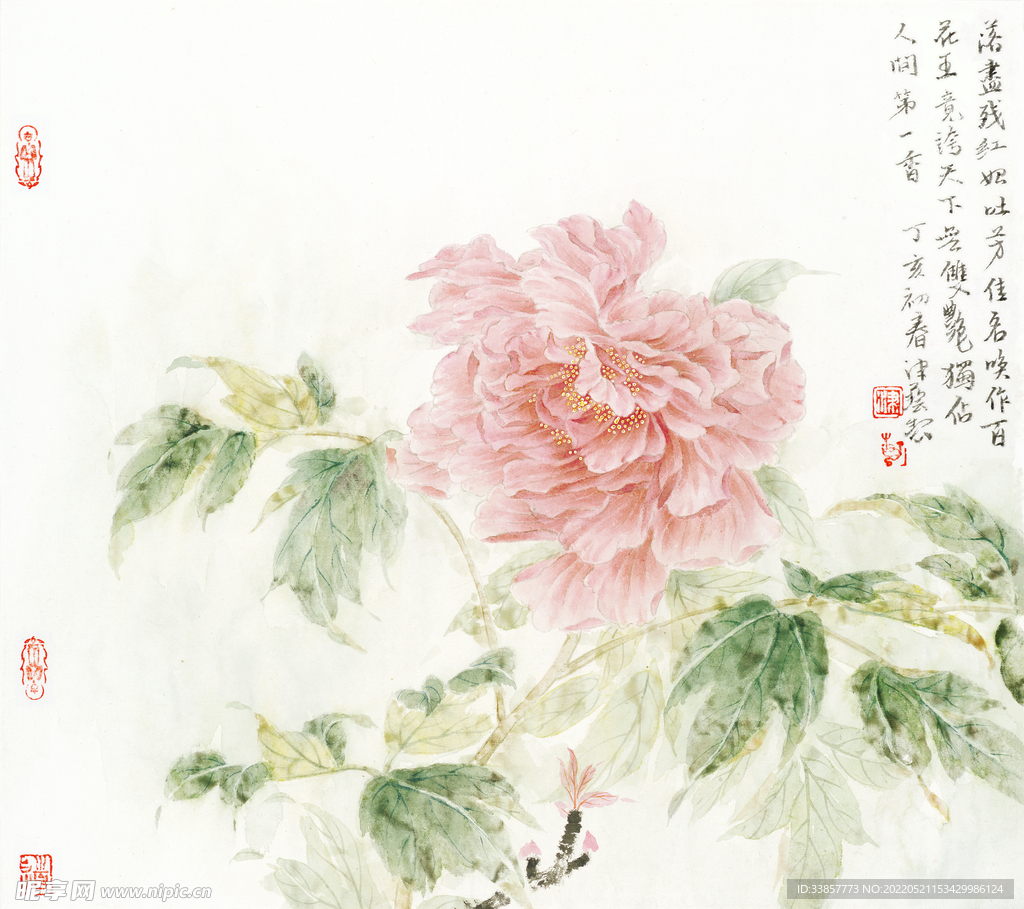 卢津艺国画牡丹