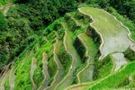 梯田
